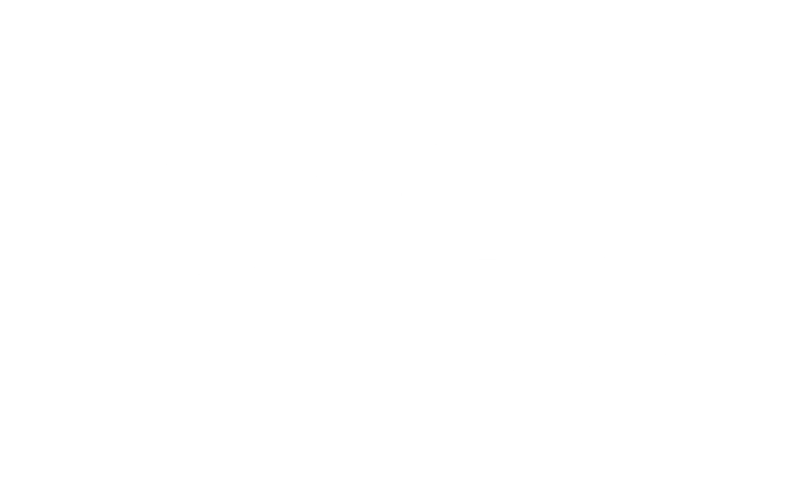 Wish In Design brand logo in white serif typography, interior brand identity by The Design Aura